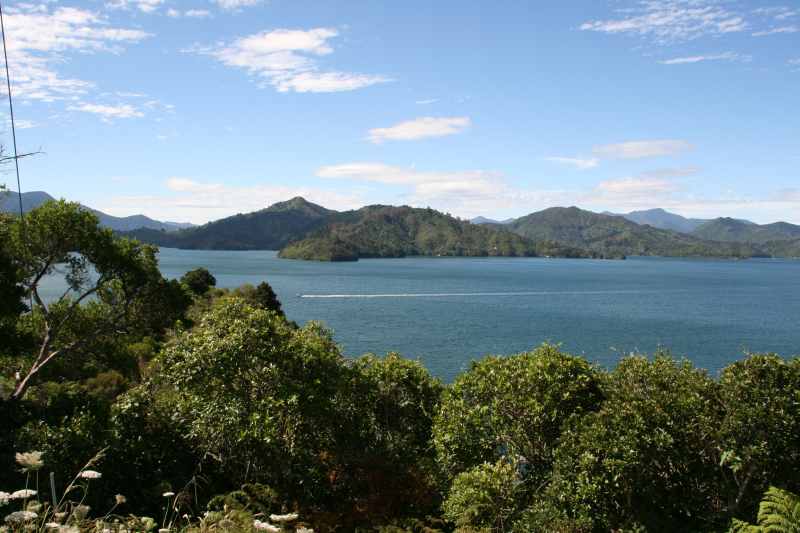 Nieuw-Zeeland 2011 - 0950